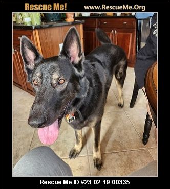 South Carolina German Shepherd Rescue - ADOPTIONS - Rescue Me! South Carolina German Shepherd Rescue - ADOPTIONS - Rescue Me!