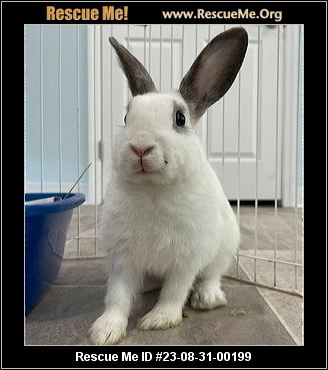 Pennsylvania Rabbit Rescue ADOPTIONS Rescue Me