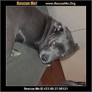 - Maryland Dog Rescue - ADOPTIONS - Rescue Me!