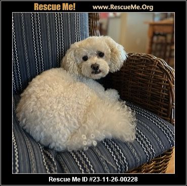 Bichon Rescue of Orange County