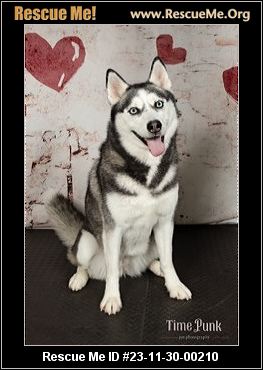 - Utah Dog Rescue - Adoptions - Rescue Me!