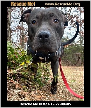 - Virginia Dog Rescue - ADOPTIONS - Rescue Me!