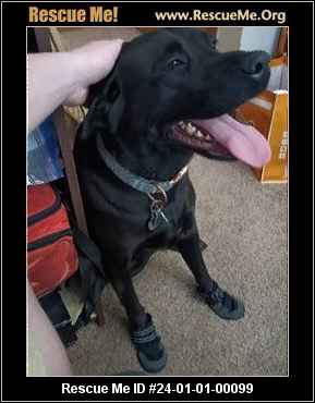 Neo clearance lab rescue