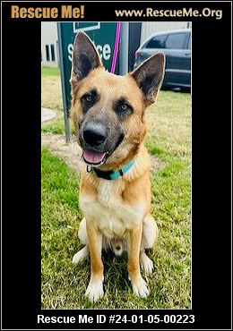 - Texas German Shepherd Rescue - ADOPTIONS - Rescue Me!