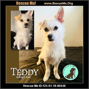 - California Westie Rescue - ADOPTIONS - Rescue Me!