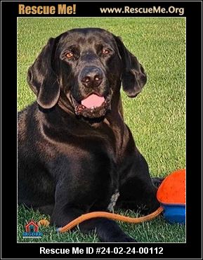 Lab rescue clearance broken arrow ok