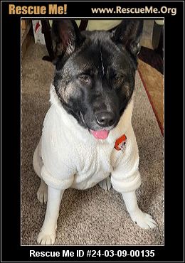 - Ohio Akita Rescue - ADOPTIONS - Rescue Me!