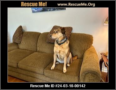 - Tennessee Mutt Rescue - ADOPTIONS - Rescue Me!