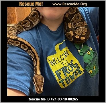 Snake rescues hot sale near me