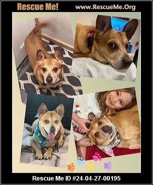 - Ohio Dog Rescue - ADOPTIONS - Rescue Me!