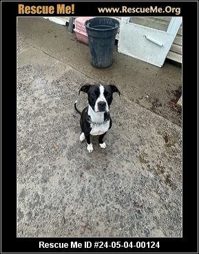 - Pennsylvania Mutt Rescue - ADOPTIONS - Rescue Me!