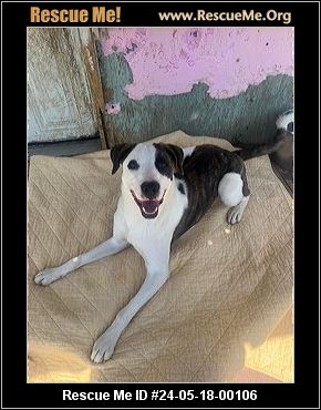 - Pennsylvania Mutt Rescue - ADOPTIONS - Rescue Me!