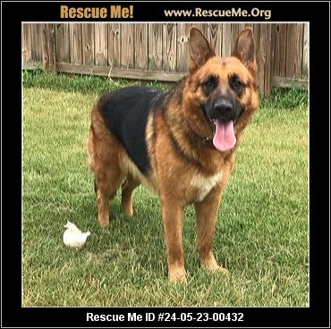 - Tennessee German Shepherd Rescue - Adoptions - Rescue Me!