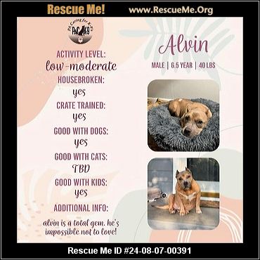 - Pennsylvania Mutt Rescue - ADOPTIONS - Rescue Me!