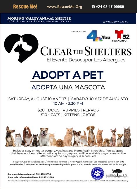 Moreno Valley Animal Shelter Adoption