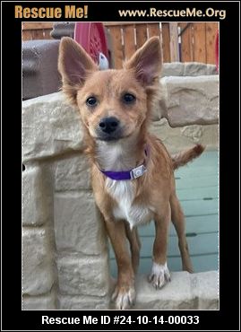 - Pennsylvania Mutt Rescue - ADOPTIONS - Rescue Me!