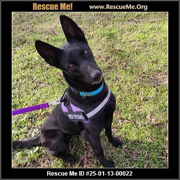 - Pennsylvania Mutt Rescue - ADOPTIONS - Rescue Me!