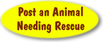 Post an Animal Needing Rescue