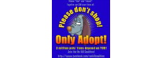 Fairfield County Adoption Center
