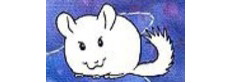 SydChilla Chinchilla Shelter