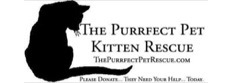 The Purrfect Pet Rescue Inc