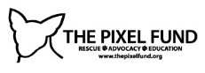 The Pixel Fund