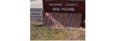 Mahoning County Dog Pound, Youngstown Ohio
