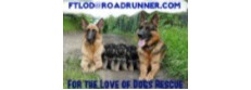 For the Love of Dogs Rescue