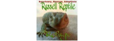 Russell Reptile Refuge