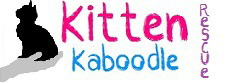 Kitten Kaboodle Rescue