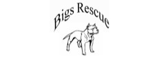 Bigs Rescue