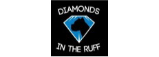 Diamonds in the Ruff Dog Rescue