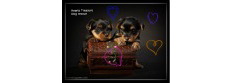 Hearts treasure dog rescue