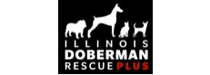 Illinois Doberman Rescue Plus