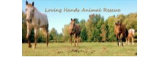 Loving Hands Animal Rescue