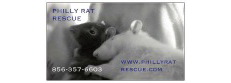 PHILLY RAT RESCUE