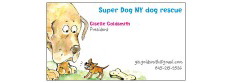 Super Dog NY dog rescue