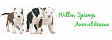 Willow Springs Animal Rescue