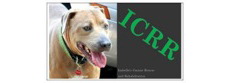 Izabella's Canine Rescue and Rehabilitation