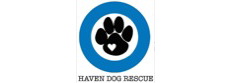 Haven Dog Rescue & Rehab