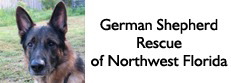German Shepherd Rescue of Northwest Florida