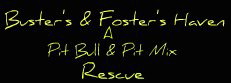 BUSTER'S & FOSTER'S HAVEN 