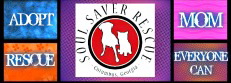 Soul Saver Rescue