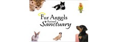 Fur Angels Animal Sanctuary