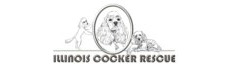 Illinois Cocker Rescue:  Poodles N Friends