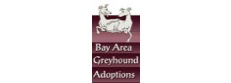 Bay Area Greyhound Adoptions