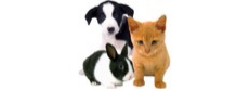 Huntsville Animal Services