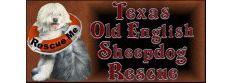 Texas Old English Sheepdog Rescue, Inc.
