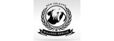 New Orleans Bulldog Rescue