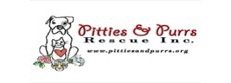 Pitties & Purrs Rescue Inc